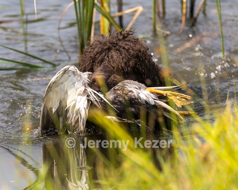 Ghillie Kezer