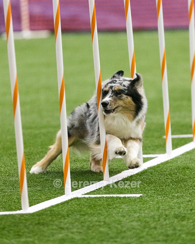 20150322-LEAP-0823.jpg
