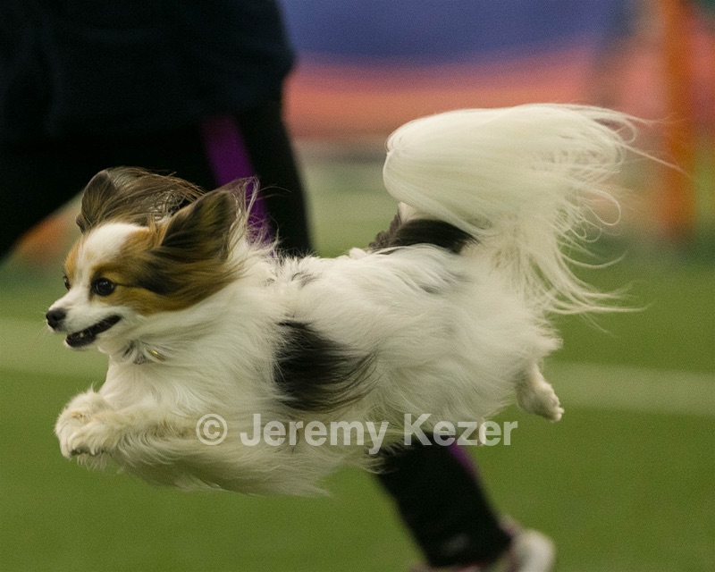 20150321-LEAP-1648.jpg