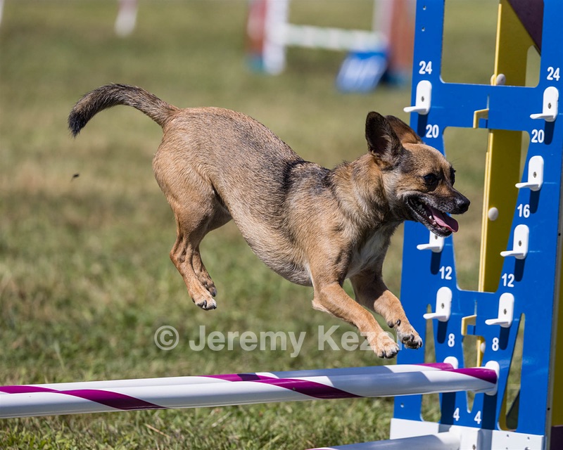 Taz Sullivan-Vo