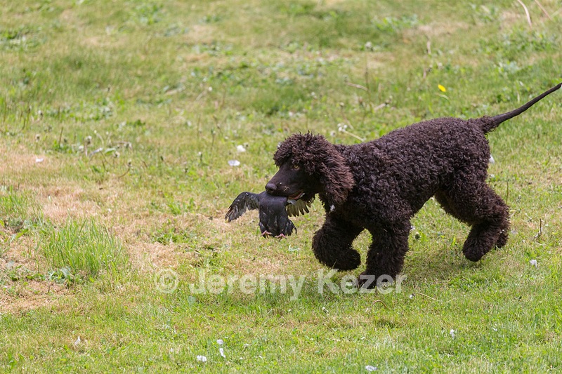 20190512-BD-0110.jpg