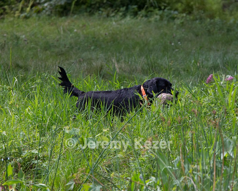 20130810-JHW-0314.jpg
