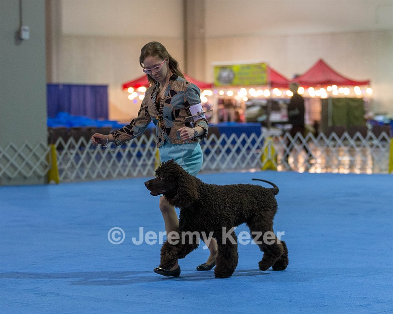 10 - Poole's Ide Touch Of Mink (Darla)