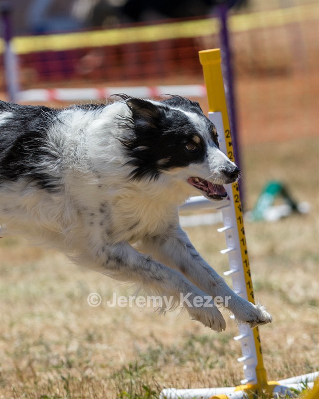 20160618-CCKC-1445.jpg