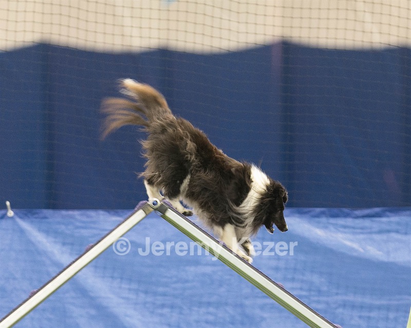 20150321-LEAP-1701.jpg