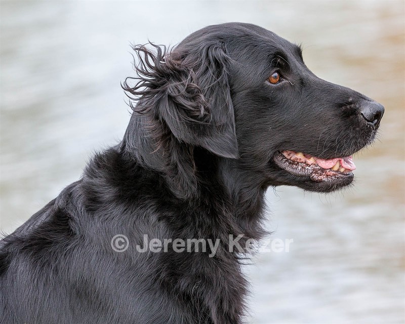 Onyx