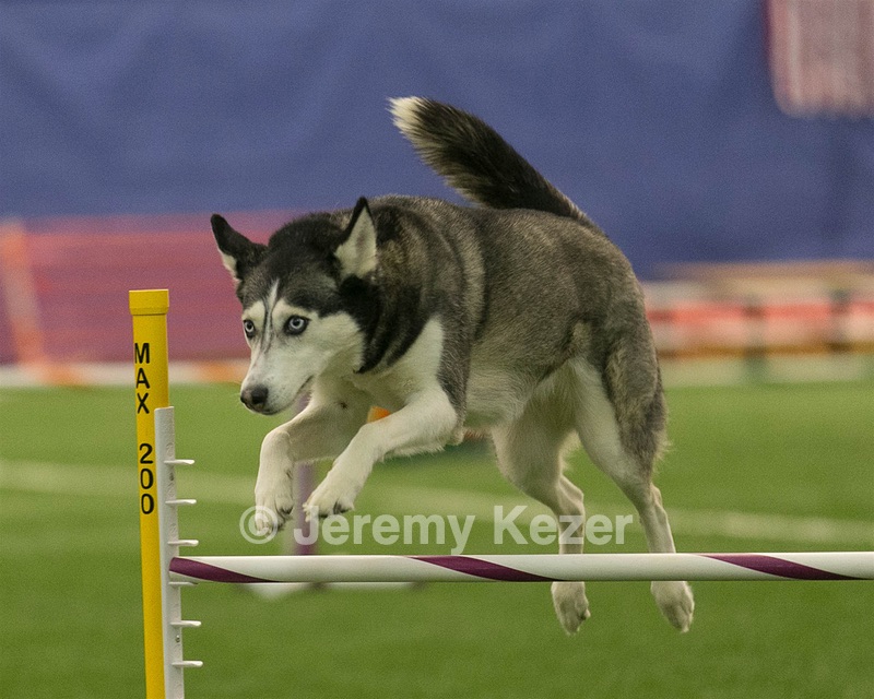 20150321-LEAP-1097.jpg
