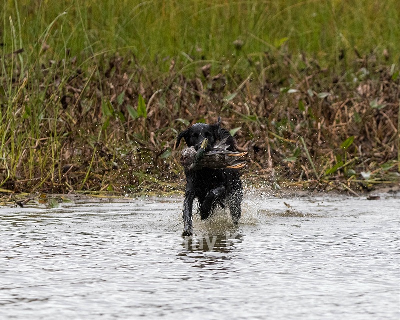 20161008-WCXW-0689.jpg