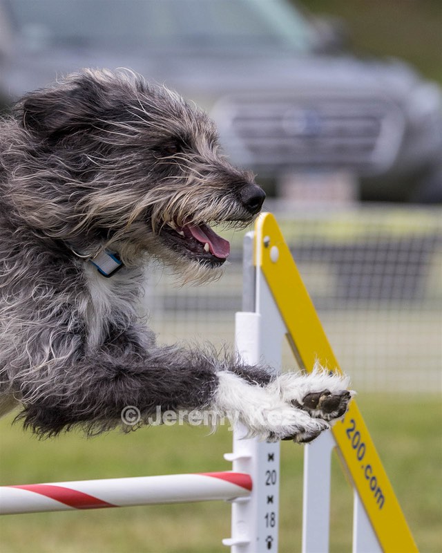 Tully Rash