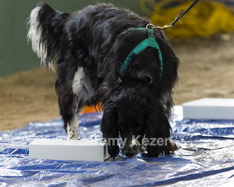 20260718-NSKC-0166.jpg