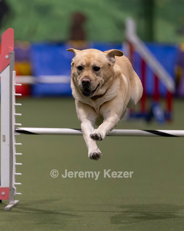20260221-0070.jpg