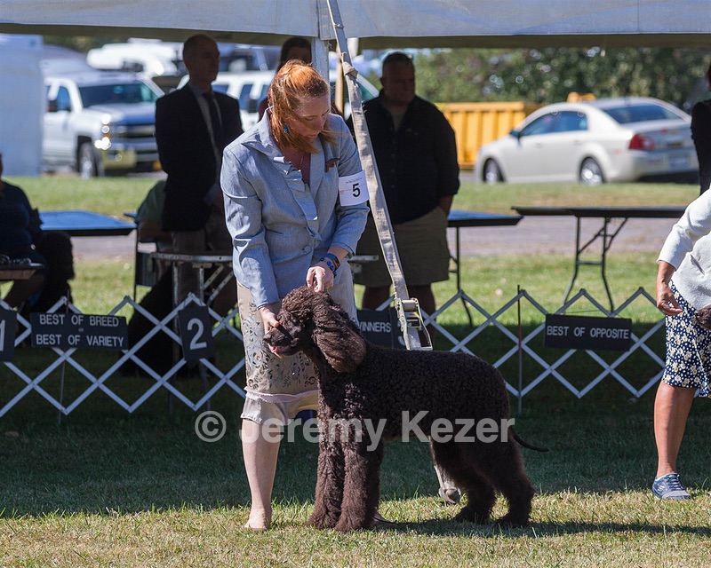 05 - GCH WATERFORD'S TROUBLE BREWING