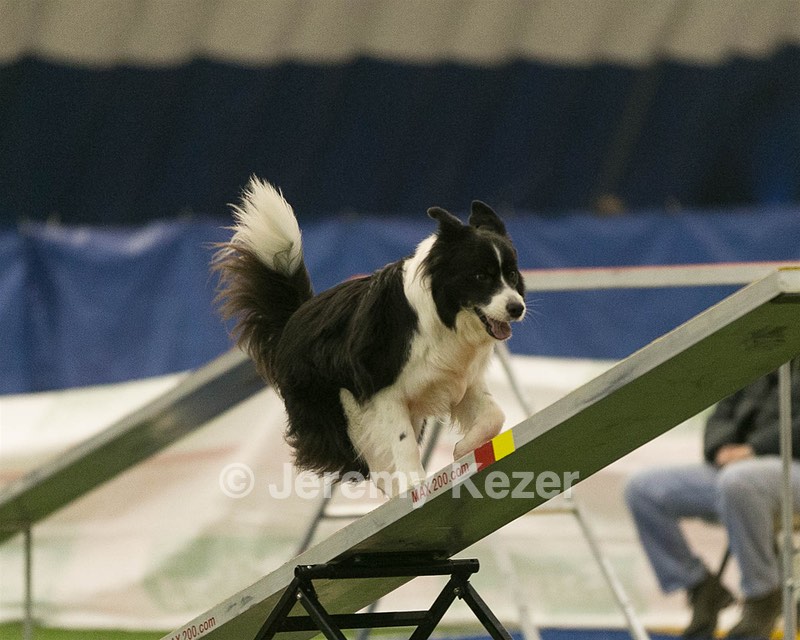 20150321-LEAP-0892.jpg