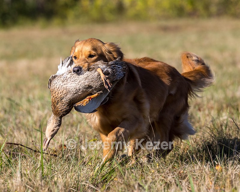 Sunny Wert