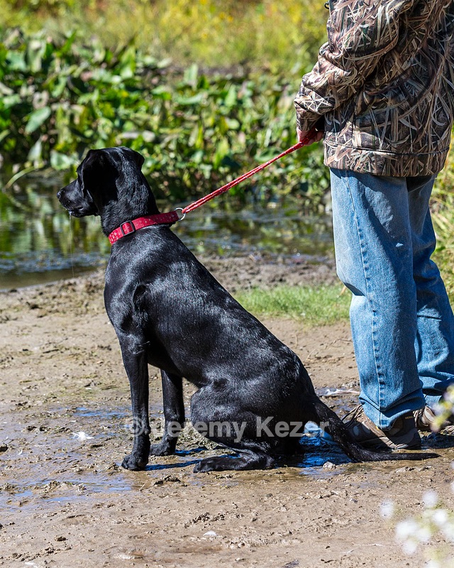 Raven Boardman