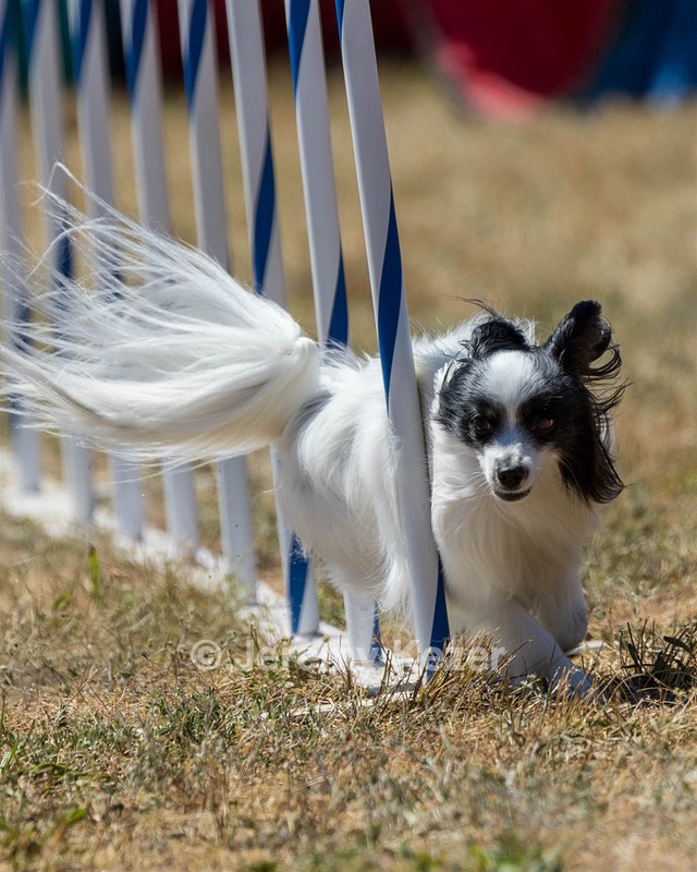 20160618-CCKC-2014.jpg