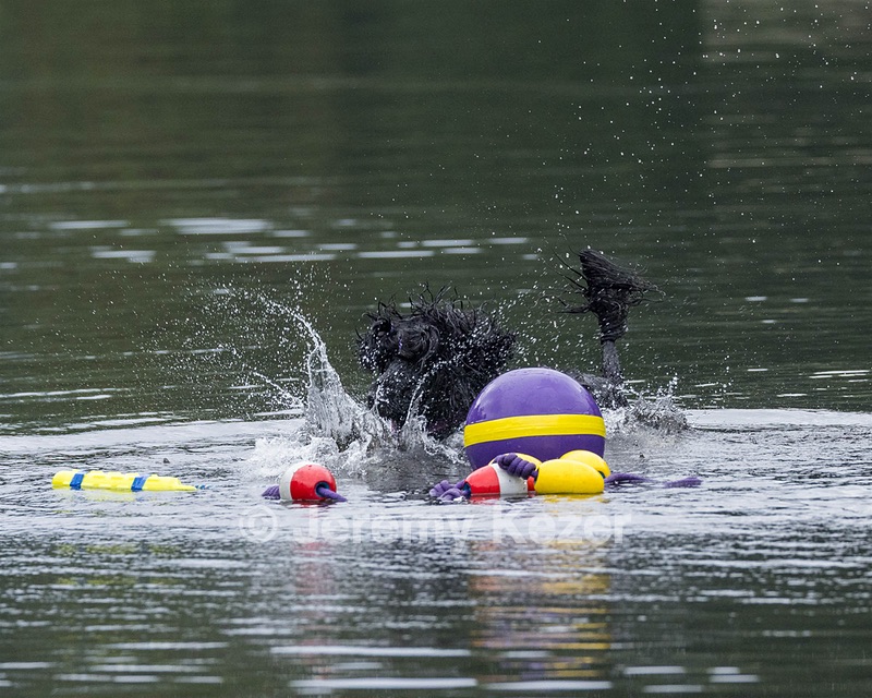 Jib Nickerson