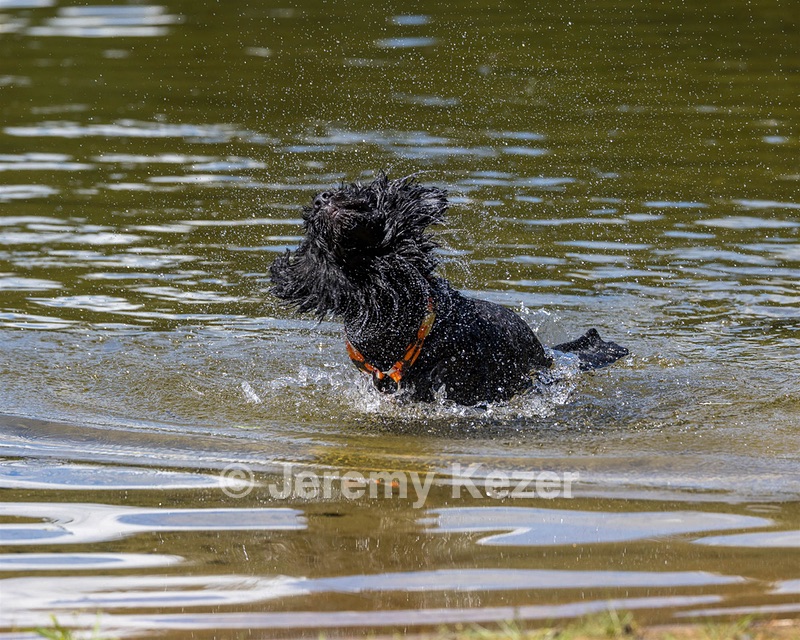 Camo Berger