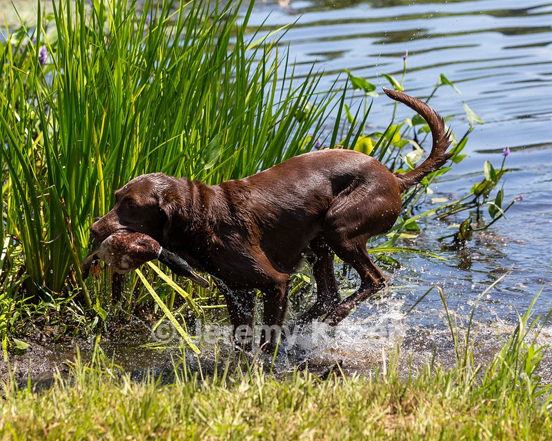20190804-SHW-0008.jpg