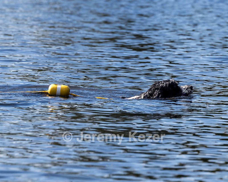 Zora Schaub