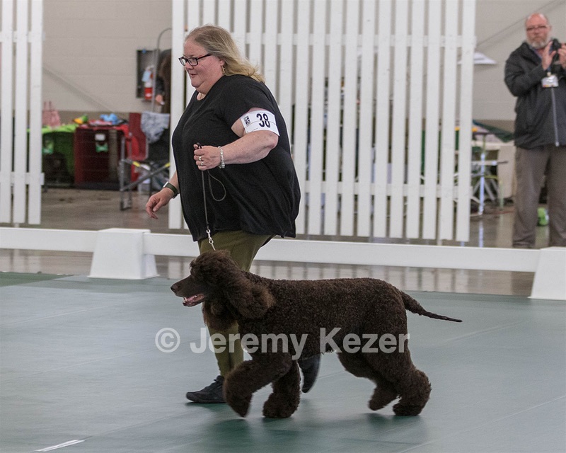 38 - GCH WHISTLESTOP'S ABRACADABRA RN CGC