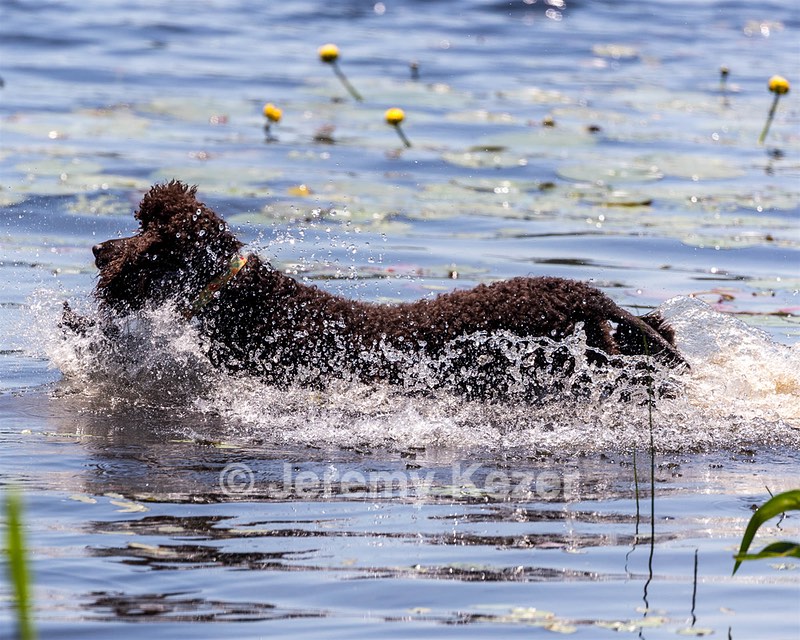 Ghillie Kezer