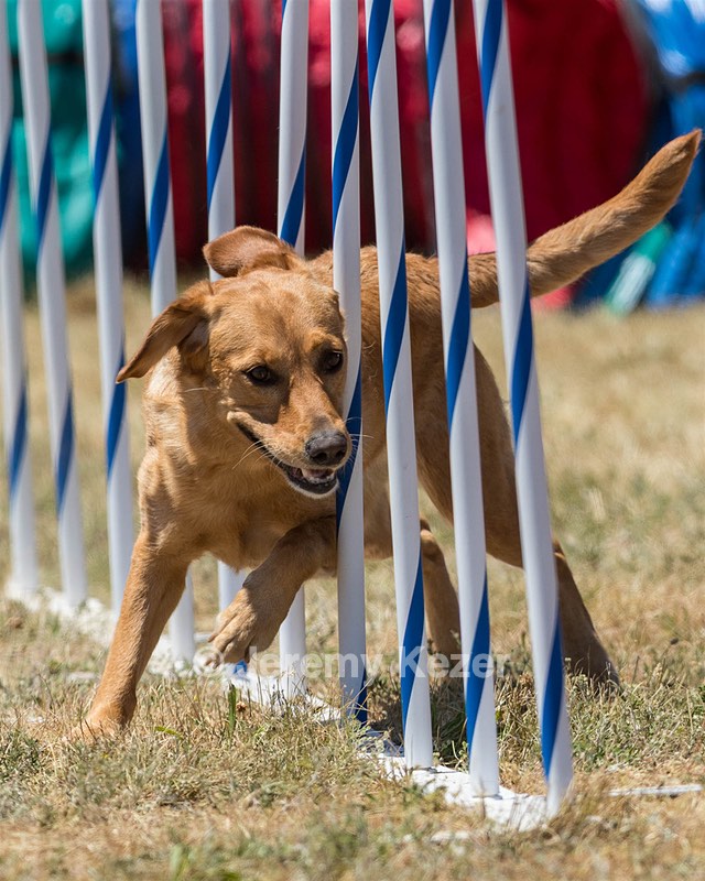 20160618-CCKC-1504.jpg