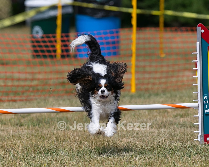20150612-CCKC-0197.jpg