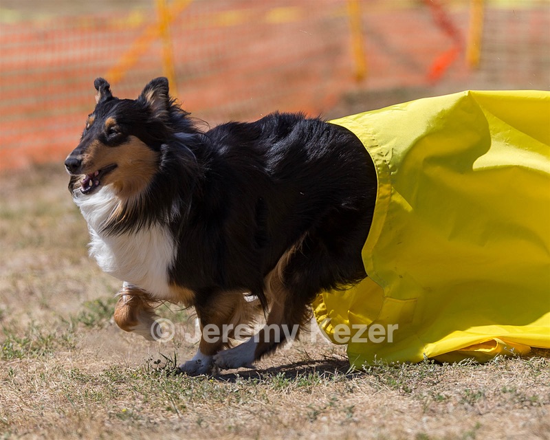 20160619-CCKC-1628.jpg