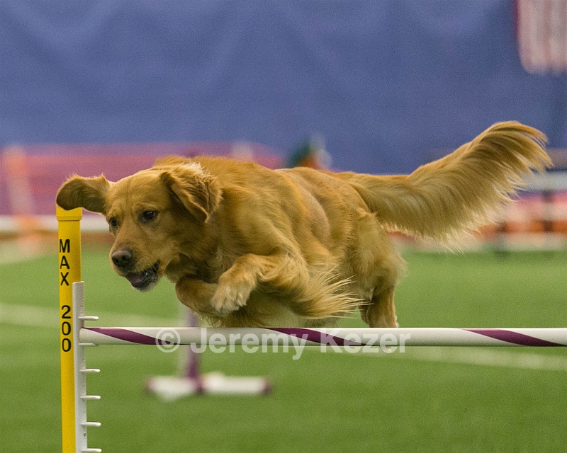 20150321-LEAP-0670.jpg