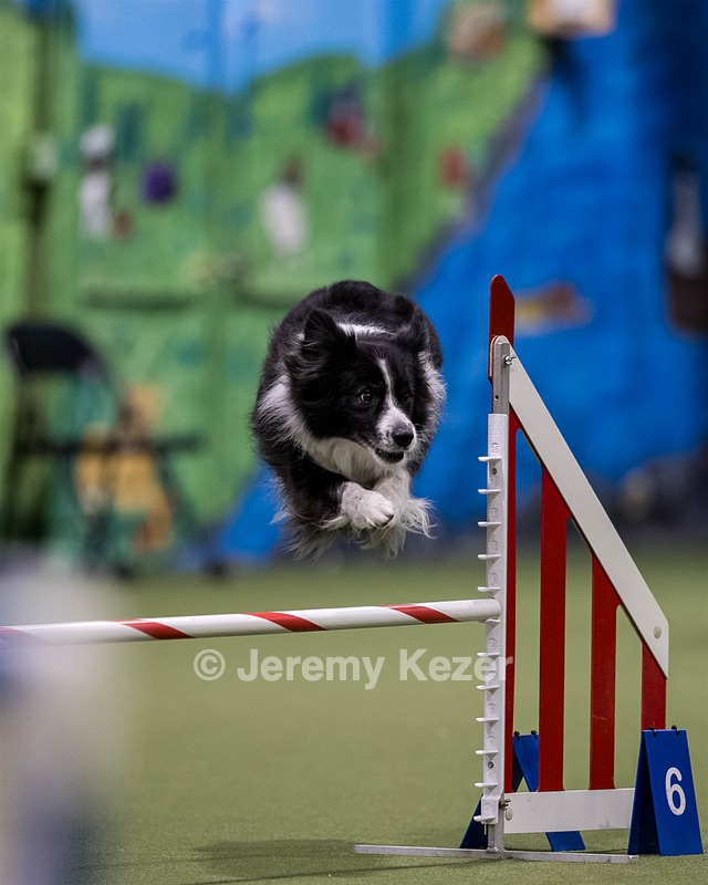 Breeze Schunk