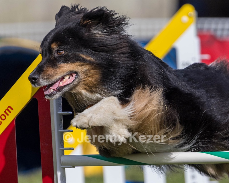 20230916-PVKC-1350.jpg