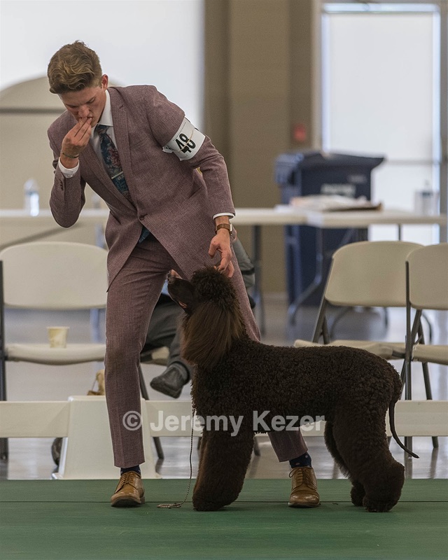 48 - GCH WHISTLE STOP'S TERRA MARIQUE POTENS (Honor)