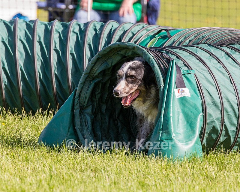 Penny Ashton