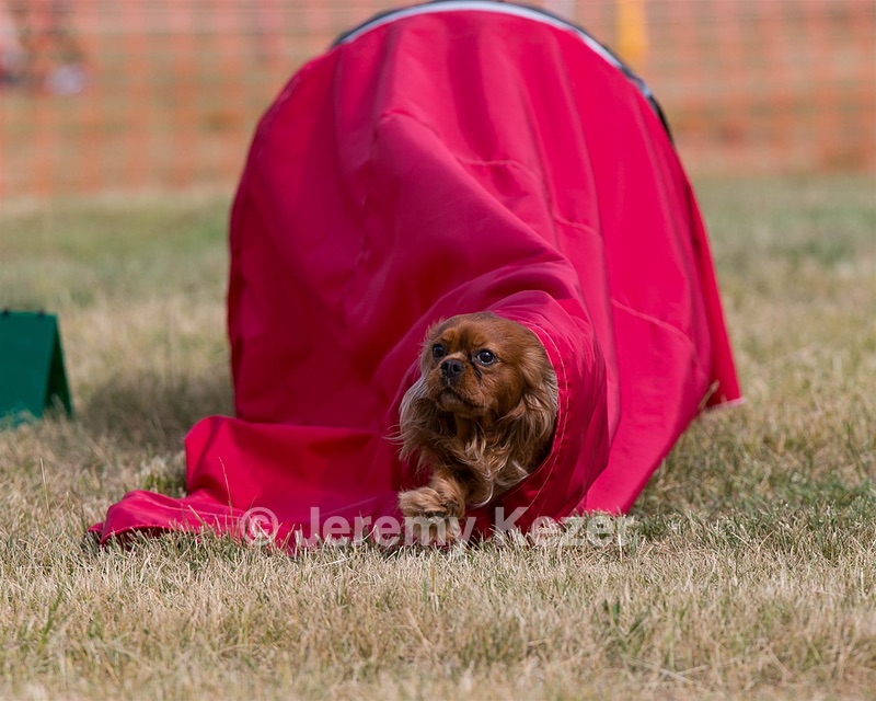 20150613-CCKC-0009.jpg