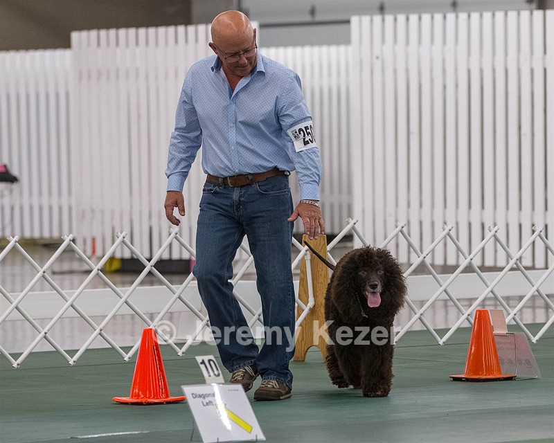 2503 - GCH CH BLACKTHORN'S KEEVA CROMPTON AX AXJ XF RN CGC (Keeva)