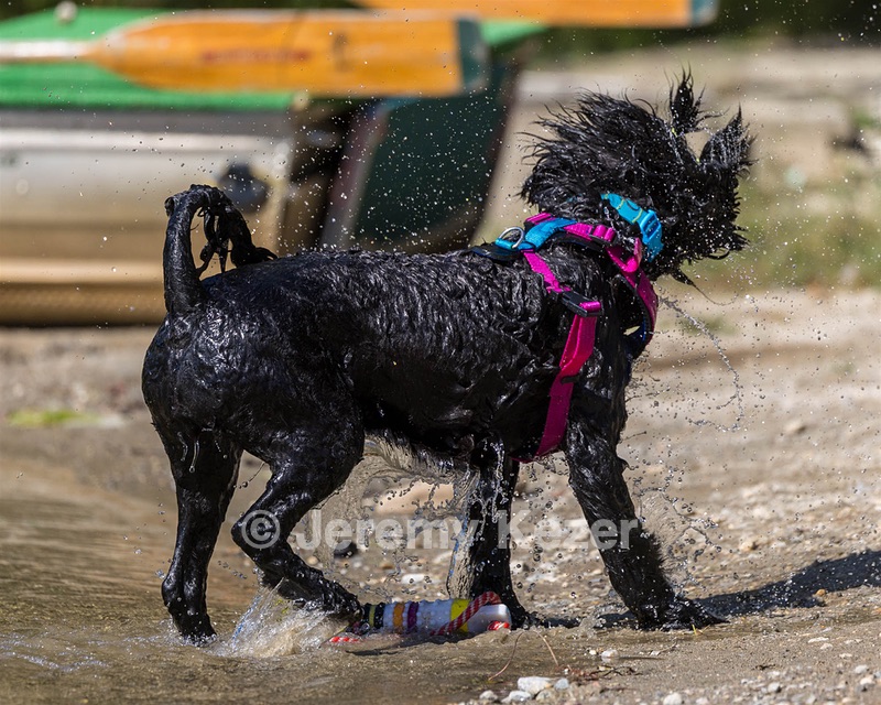 Penny Toby-Ann