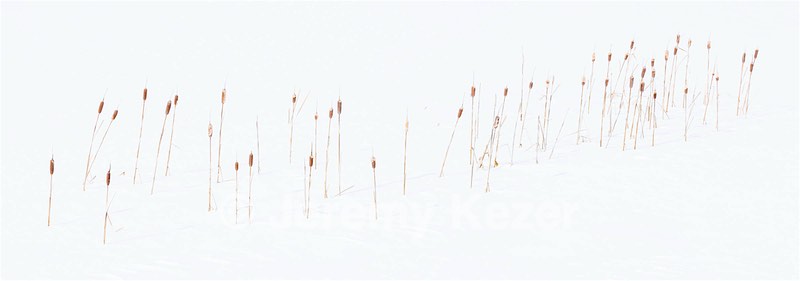 20220211-1318.jpg