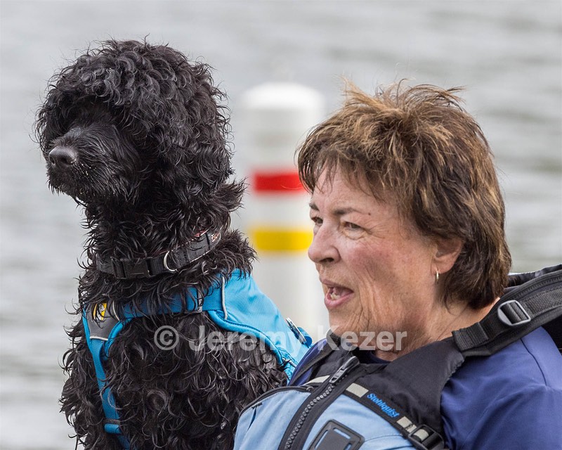 Boaty Belicose