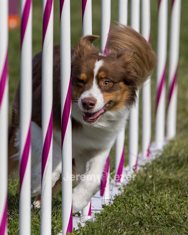 20230916-PVKC-1328.jpg