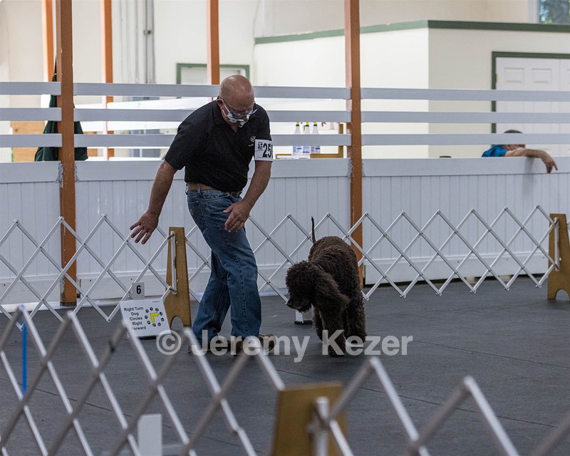 2501 - GCH CH BLACKTHORN'S KEEVA CROMPTON RM AX AXJ XF TKN (Keeva)