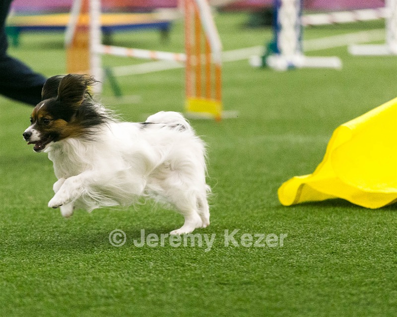 20150322-LEAP-0121.jpg