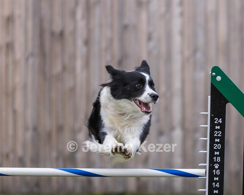 Sadie Carson