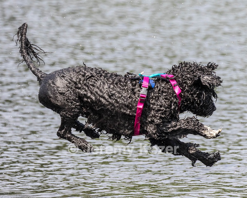 "Mistral" & Tobi-Ann