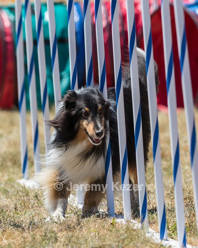 20160618-CCKC-1709.jpg