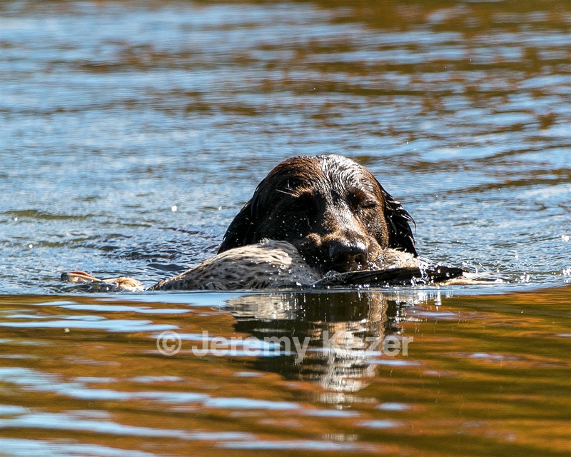 Bella
