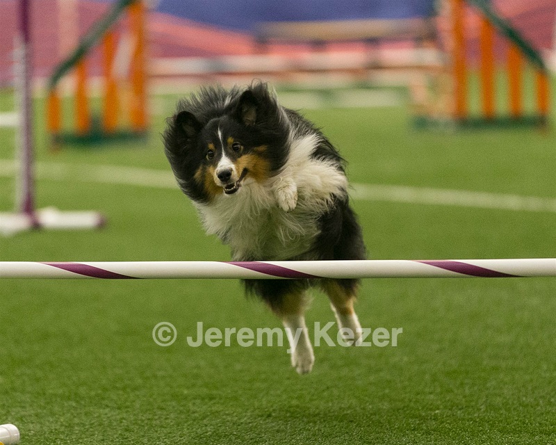 20150321-LEAP-1275.jpg