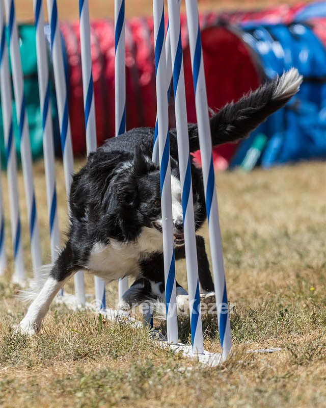 20160618-CCKC-1541.jpg