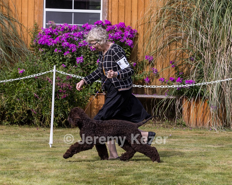 06 - FLINTCREST STEP RIGHT UP (Clara)