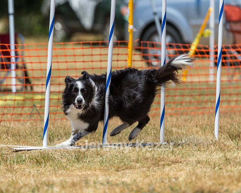 20160619-CCKC-1048.jpg